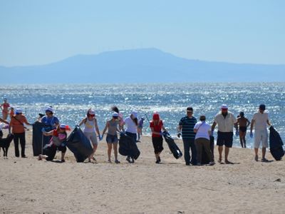 Παγκόσμια Εκστρατεία Εθελοντικού Καθαρισμού Ακτών